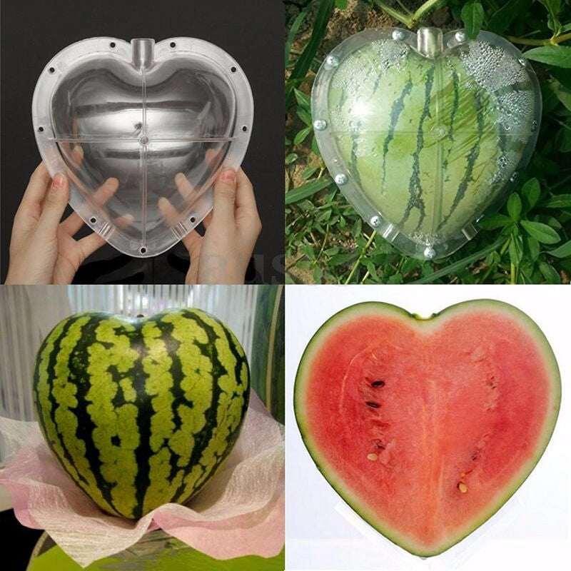 Watermelon Shaping Mold