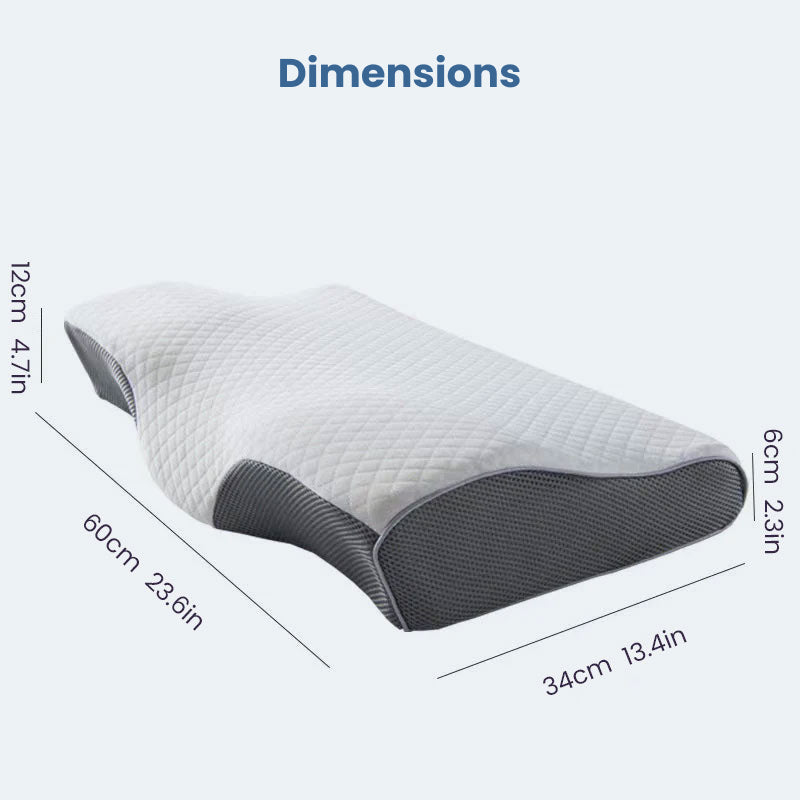 SpineGuard Foam Pillow