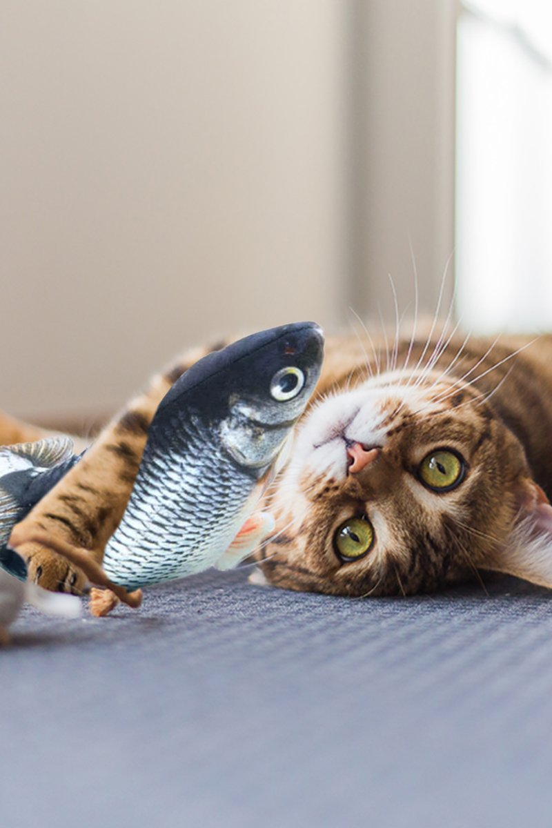Smart Motion Sensor Tiny Tuna Cat Play Toy