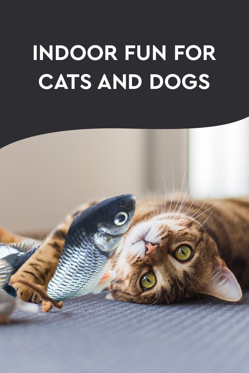 Smart Motion Sensor Tiny Tuna Cat Play Toy
