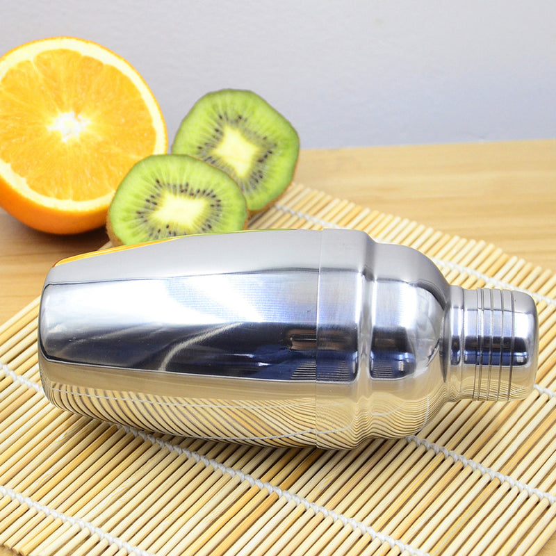 Professional Cocktail Shaker