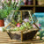 Tabletop Succulent Geometric Glass Pot