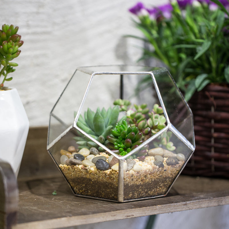 Glass Texture Pot Tabletop Succulent Geometric Glass Pot – ClevHouse