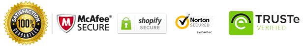 secure paypal stripe payments