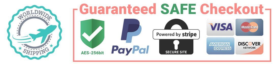 secure paypal stripe payments